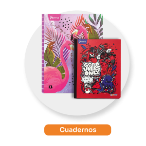 utiles escolares, cuadernos, papeleria el mayorista cali.